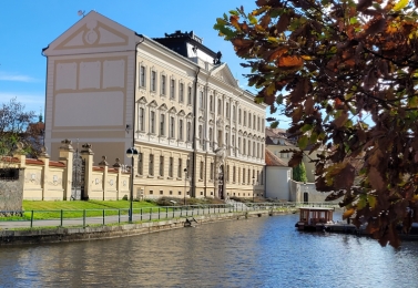 Výroční zpráva za školní rok 2024/2025