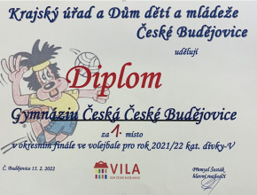 Diplom_volejbal.JPG