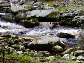 Geologická exkurze Šumava