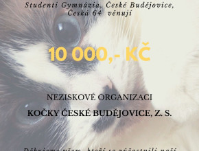 Studentský spolek Česká žije! tentokrát podpořil neziskovou organizaci Kočky České Budějovice